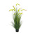 Artificial Reed Dogtail Grass Onion Grass Large Plant Bonsai Indoor Window Floor-Standing Decorations Green Plant Bonsai