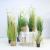 Artificial Reed Dogtail Grass Onion Grass Large Plant Bonsai Indoor Window Floor-Standing Decorations Green Plant Bonsai