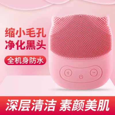 SOURCE Manufacturer Ultrasonic Facial Cleaner Electric Face Import Portable Waterproof Beauty Instrument Pore Face Facial Cleaner