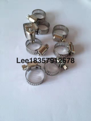 Hose Clamp American Stainless Steel Hose Clamp Gas Cylinder Dedicated