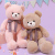 Teddy Bear Doll Little Bear Plush Toys Girls' Hugging Bear Doll Sleeping Pillow on Bed Doll for Girlfriend