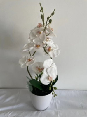 Factory Direct Sales Ins Hot Simulation Phalaenopsis Potted Artificial Flower Bonsai Living Room Tea Table Decoration