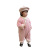 Girls' Suit Tang Suit Chinese Style Pink Hanfu Children Clothes Baby Thickened Children's Clothes Baby New Year Clothes