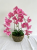 Factory Direct Sales Simulation Phalaenopsis bonsai Artificial/Fake Flower Phalaenopsis and Decorative Flower