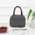 2021 New Spot Ice Pack Factory Direct Sales Small Cationic Series Portable Lunch Bag Lunch Box Bag Insulated Bag