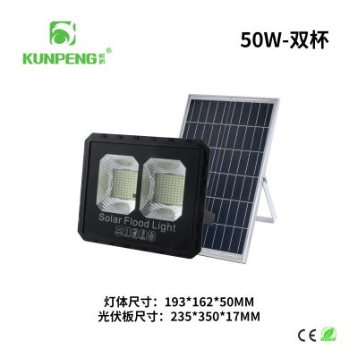 [2 Grids] LED Solar Energy Project Lamp Household Outdoor Courtyard Community Park Projection Lights Super Bright Solar Flood Light