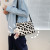 Winter Personality Furry Fur Bag Autumn and Winter Small Handbags Female 2021 New Plush Bag Crossbody Large Capacity