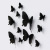 Cross-Border Halloween 3D Butterfly 12 PCs Black Butterfly Three-Dimensional Plastic Emulational Decoration Home Creative Spot