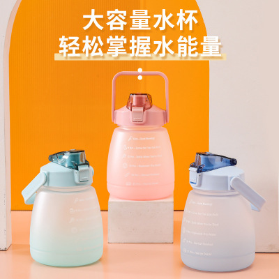 Gradient Color Big Belly Cup Large Capacity Frosted Internet Celebrity Cup with Straw Portable Anti-Fall Good-looking Plastic Water Cup