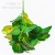 A Variety of Artificial Begonia Leaf Feel Hydrocotyle Green Radish Small Handle Beam Green Plant Garden Landscape Engineering Decoration Simulated Plants