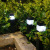 Solar Courtyard Garden Landscape Outdoor Lamp Lawn Plug-in Lamp Home Yard Layout Waterproof Decoration Small Night Lamp