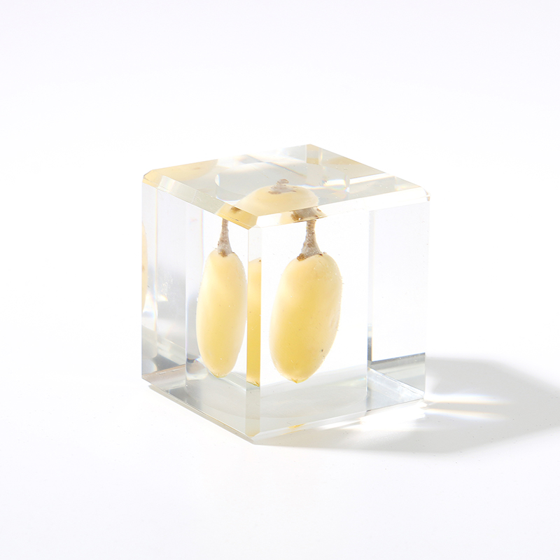 植物标本水晶永生花方块形简约现代居家书房办公室生日礼物礼盒