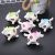 Cross-Border Creative Squeezing Toy Unicorn Colorful Grape Beads Ball Useful Tool for Pressure Reduction Internet-Famous Toys