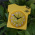 Cute Clothes Simple Fashion Small Fresh Snooze Alarm Clock Personality Creative Bedside-Use Lazy Desk Clock Student Children's Clock