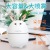 New Cute Pet Humidifier Usb600ml Large Capacity Colorful Gradient Light Home Office Mute Hydrating Humidifier