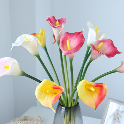 Single Common Calla New Hand-Feel Pu Artificial Flower Ins Style Taobao Hot Selling Props Artificial Fake Flower Common Calla