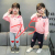 New spring beautiful pure cotton fashion trend long sleeve two-piece suit wholesale four codes SML XL 1-5-6 years old