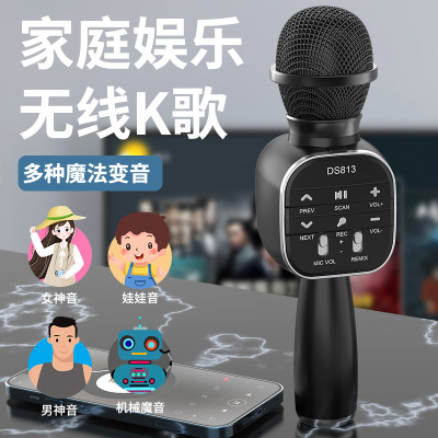 New Ds813 Wireless Bluetooth Microphone Microphone Karaoke Sound Card for Live Show Microphone Wireless Bluetooth Audio