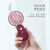 New Mini Handheld Fan USB Charging Strap Lanyard Color Series Portable Portable Summer Pocket Fan