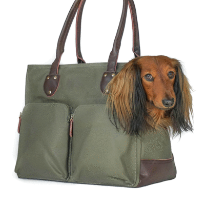 Yuchuangwei Pet Green Grass Bag Suitable for Walking Shoulder Bag Portable Easy to Carry Comfortable and Durable