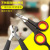 Pet Scissors Small Dog Cat Nail Art Trimming Nail Beauty Tools Spot Beauty Supplies Animal Scissors Pet Nail Clippers
