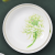 Huaguang Porcelain Bone China Tableware High Temperature in-Glaze Decoration Bowl Dish Plate Spoon Set Spring Garden