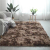 Nordic Ins Living Room Carpet Bedroom Room Coffee Table Tie-Dyed Silk Wool Carpet Home Plush Bedside Carpet Floor Mat