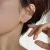 New Ear Bone Stud Women's Silver Needle Super Flash High Sense Small Earrings Ear Bone Ring Earrings Ear Studs Earrings