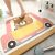 Cartoon Shaped Diatom Ooze Soft Mat Hydrophilic Pad Bathroom Carpet Non-Slip Mat Bathroom Step Mat Kitchen Floor Mat Carpet