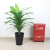  Decoration Decoration Bonsai Cross-Border Amazon E-Commerce Foreign Trade Simulation Brazil Wood Green Plant Pot