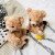Online Influencer Disco Dancing Bear Messenger Bag New Ins Creative Teddy Bear Chain Plush Bag Korean Style Shoulder Bag