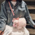 Korean Style Pink Pig Plush Bag Women's Cute Handbag Ins Student Shoulder Messenger Bag Crane Machines Doll Bag