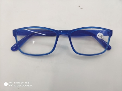 Plastic Frame Reading Glasses