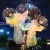 Internet Celebrity Bounce Ball Luminous Fire Balloon with Light Flash Bounce Ball Lantern Stall Led Luminous Ball