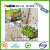 Factory New Hot Sale Humane Rodent Trap Household Moue Glue Board