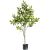 Pachira Macrocarpa Simulation Plants Green Plants Potted Fake Trees Nordic INS Interior Living Room Floor Stand Decoration Decoration