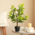 Pachira Macrocarpa Simulation Plants Green Plants Potted Fake Trees Nordic INS Interior Living Room Floor Stand Decoration Decoration