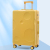 Trolley Case Male and Female College Students 20-Inch Boarding Machine Password Suitcase Luggage Suitcase