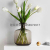 European-Style Transparent Glass Vase Modern Simple and Fashionable Flower Arrangement Living Room Dining Table Home Decoration Ornaments