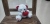 Cute Little Bear Doll Ribbon Bear Plush Toy Small Hug Teddy Bear Rag Doll Valentine's Day Gift for Women