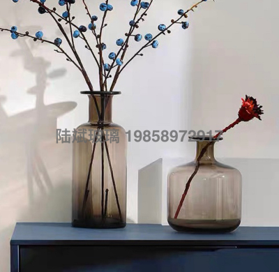 European-Style Transparent Glass Vase Modern Simple and Fashionable Flower Arrangement Living Room Dining Table Home Decoration Ornaments