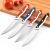 Factory Direct Sales SST Fruit Knife Kitchen Fruit Knife Household Peler 5-Inch Universal Knife Wholesale