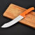 Factory Direct Sales Stainless Steel Kitchen Knife Chef Knife Household Fruit Knife Steak Knife Kitchen Knives Wholesale