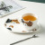 Nordic Style Ins Cup and Saucer Creative Cat Ceramic Cup Set Office Business Coffee Cup Mug Wholesale