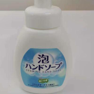 Ainuo Foam Hand Sanitizer