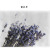 Natural Lavender Dried Flower Club Spa Home Ornament Furnishing Lavender Art Shooting Props Bouquet