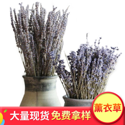 Natural Lavender Dried Flower Club Spa Home Ornament Furnishing Lavender Art Shooting Props Bouquet