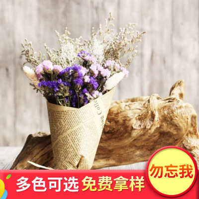 Natural Myosotis Sylvatica Dried Flowers Bouquet Home Living Room Real Flower Decoration Holiday Birthday Gift Shooting Props