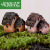 Moss Micro Landscape Ornaments 6 Thatched House Resin Small House Creative Crafts Zakka Style