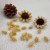 Natural Fruit Shell Dried Flower Sticky Larva Xanthium Dyeing Craft Raw Material Aromatherapy Candle Oil Painting Accessories DIY Decoration